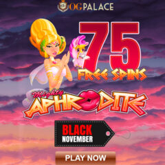 Emperors Money 50 totally free revolves whales pearl Slots Play on the brand new internet Slot machines free of charge